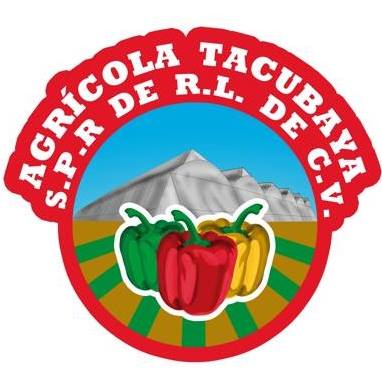 TACUBAYA