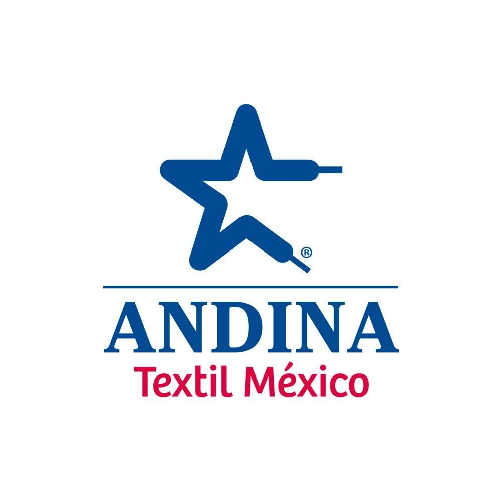 ANDINA TEXTIL MEXICO 